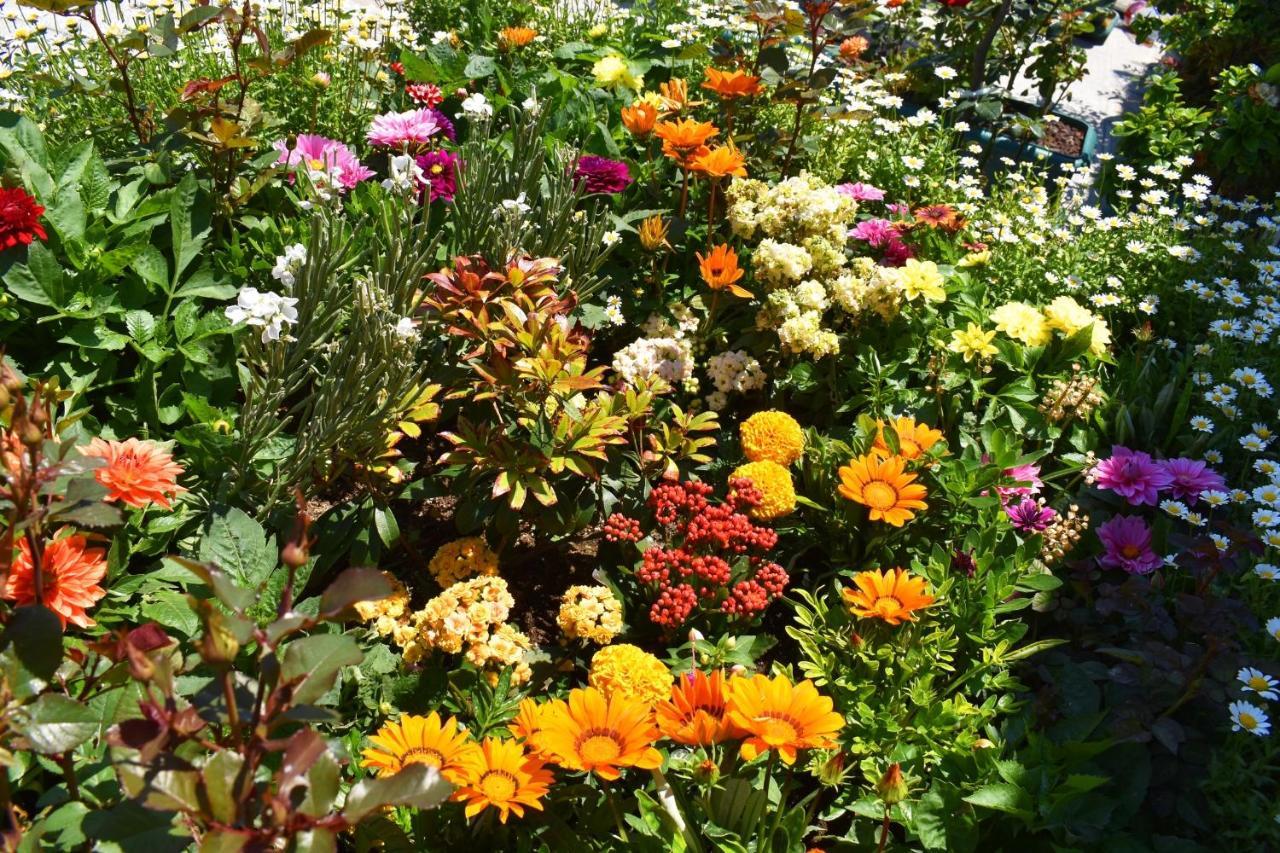 Hotel Garden Terrace Old 이스탄불 외부 사진